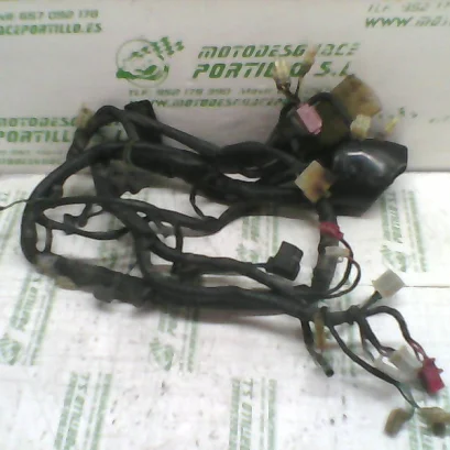 Foto de Instalación electrica Honda TRANSALP 600 referencia 143-18-14298