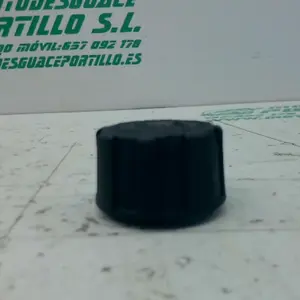 Foto de Tapón bote expansor Piaggio BEVERLY 300 I referencia 452-23-46543 foto 1