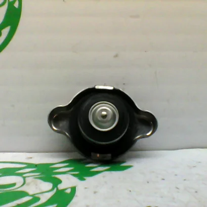 Foto de Tapon del radiador Yamaha TRICITY 125I referencia 307-21-35673