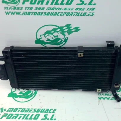 Foto de Radiador Benelli MACIS referencia 324-22-39838
