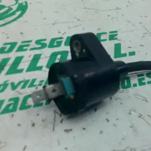 Foto de Bobina Vespa LX 125 referencia 448-23-47095 foto 1