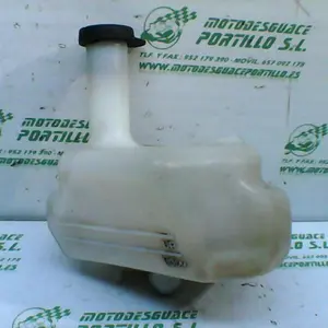 Foto de Bote expansor Honda Dylan 125 referencia 80-23-44272 foto 3
