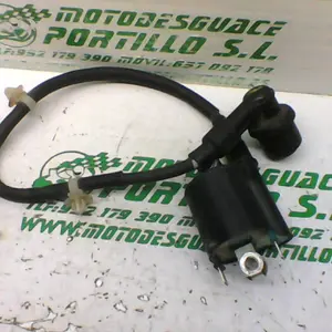 Foto de Bobina Honda VISION 110 referencia 202-21-29762 foto 6