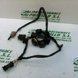 Foto de Encendido Peugeot Speedfight 1 50 referencia 12-23-41650 foto 16