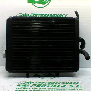 Foto de Radiador Derbi RAMBLA 300 referencia 167-22-37651 foto 5