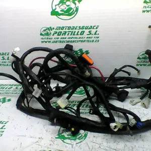 Foto de Instalación electrica Yamaha Xenter 125 referencia 446-22-40744 foto 2