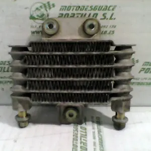 Foto de Radiador Daelim Daystar 125 referencia 46-17-4744