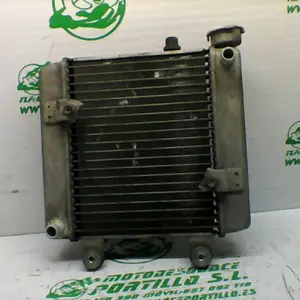 Foto de Radiador Honda Pantheon 125 4T referencia 22-17-36011 foto 6