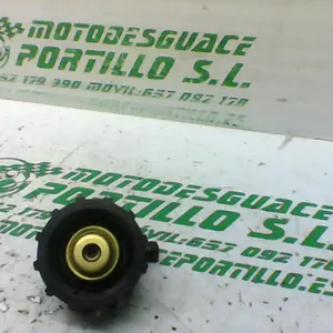 Foto de Tapon del radiador Malaguti PHANTOM MAX referencia 70-20-25631 foto 1