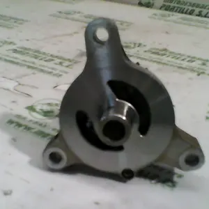 Foto de Bomba de aceite Suzuki Burgman 250 referencia 109-17-9514