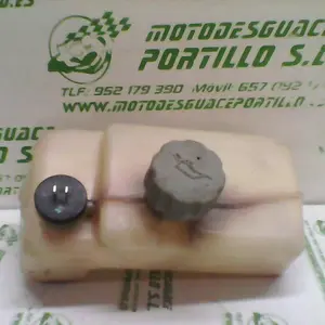 Foto de Depósito de aceite Honda SKY 50 referencia 90-18-29841 foto 3
