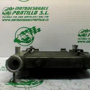 Foto de Radiador Honda Pantheon 125 4T referencia 22-17-36011 foto 4