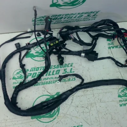 Foto de Instalación electrica Piaggio liberty 125 i 2023 referencia 60-26-49312