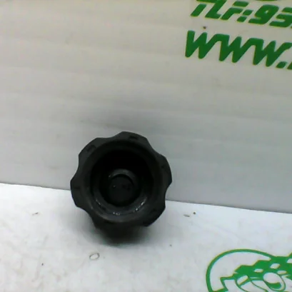 Foto de Tapón bote expansor Honda SH 125I 13-16 referencia 136-23-44828