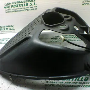 Foto de Protector de radiador Piaggio X9 125 referencia 244-19-24214 foto 2
