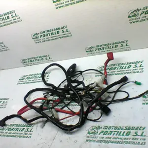 Foto de Instalación electrica Peugeot tweet 125 referencia 419-22-40540 foto 7