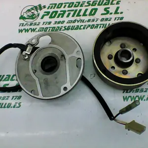 Foto de Encendido Derbi Predator 50 referencia 105-22-40470 foto 2
