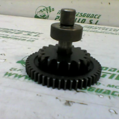 Foto de Piñón del motor de arranque TGB X MOTION 125 referencia 92-18-13257