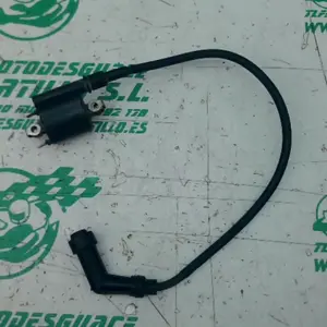 Foto de Bobina Honda PS 125 referencia 106-24-47757
