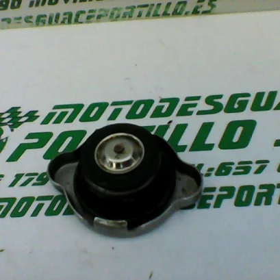 Foto de Tapon del radiador Suzuki SIXTEEN 125 referencia 281-18-19823