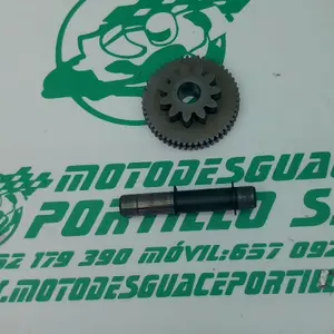 Foto de Piñón del motor de arranque Yamaha XMAX 250I referencia 283-22-37544 foto 4