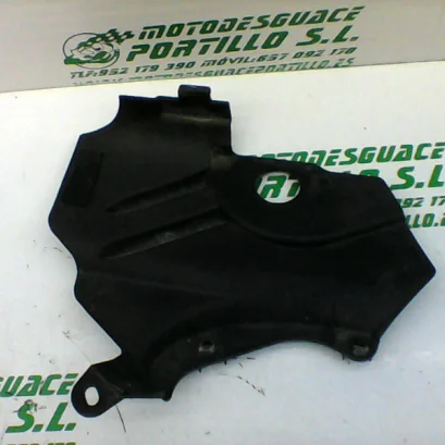 Foto de Embellecedor chasis derecho Yamaha YBR 125 i referencia 118-19-19505