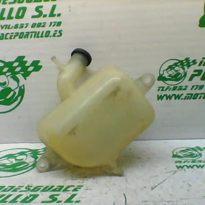 Foto de Bote expansor Suzuki BURGMAN 400 referencia 307-19-33318
