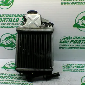 Foto de Radiador Honda Pcx 125 referencia 181-23-46198 foto 7