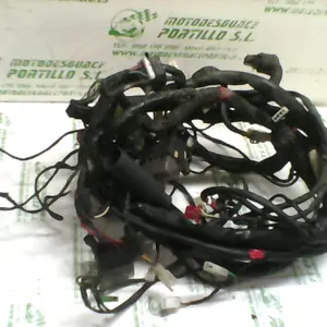 Foto de Instalación electrica Piaggio X9 250 referencia 44-18-12501 foto 3
