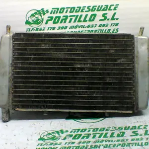 Foto de Radiador Piaggio HEXAGON GTX referencia 323-22-42702 foto 1