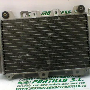 Foto de Radiador Piaggio X9 125 referencia 244-19-24208 foto 2