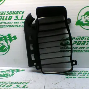 Foto de Protector de radiador Vespa GT 200 L referencia 138-22-34447 foto 8
