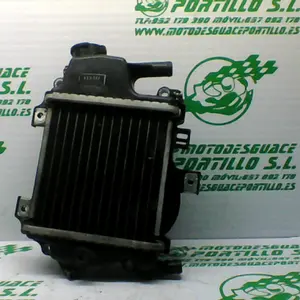 Foto de Radiador Honda Pcx 125 referencia 181-23-46198 foto 4
