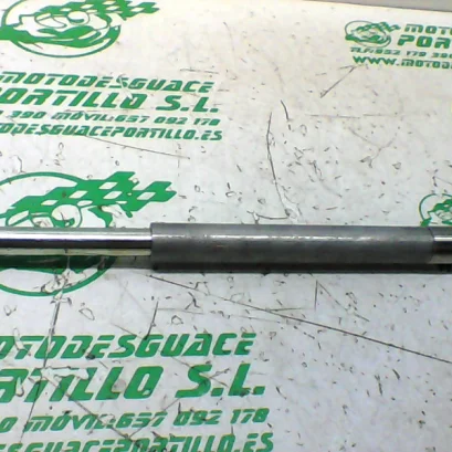 Foto de Eje del basculante Honda CBF 250 referencia 395-21-34234