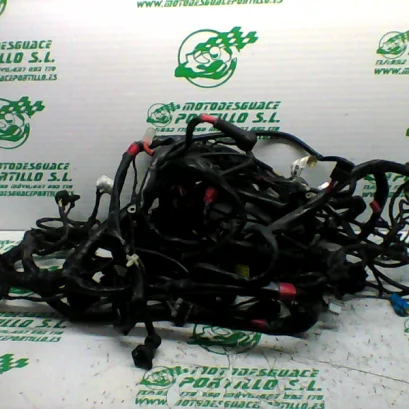 Foto de Instalación electrica Piaggio MP3 250 RL referencia 397-21-40253