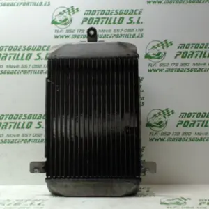 Foto de Radiador Suzuki Burgman 250 i referencia 178-16-2033