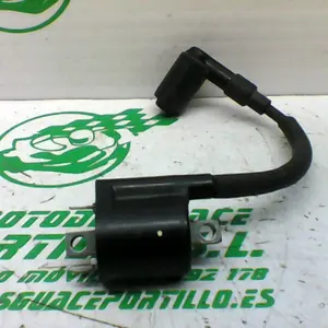 Foto de Bobina Yamaha TRICITY 125I referencia 307-21-35695