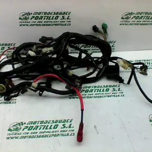 Foto de Instalación electrica Kymco Super Dink 125 referencia 100-22-36625