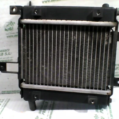 Foto de Radiador Kymco Bet&win 125 referencia 321-19-38833