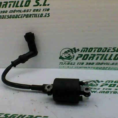 Foto de Bobina Honda CBF 125 M referencia 166-22-34834