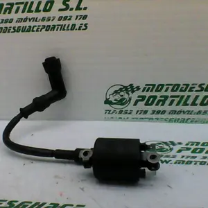 Foto de Bobina Honda CBF 125 M referencia 166-22-34834 foto 1