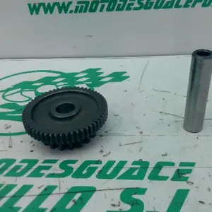 Foto de Piñón del motor de arranque Suzuki GS 500 E referencia 14-24-46951 foto 3