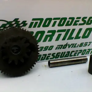 Foto de Piñón del motor de arranque Kymco Super Dink 125 referencia 360-23-48044 foto 2