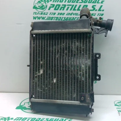Foto de Radiador Kymco Grand Dink 125 08-11 referencia 321-21-35323