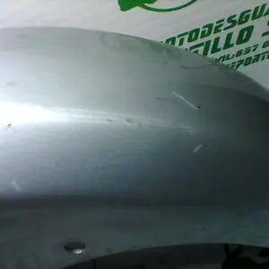 Foto de Guardabarro delantero Suzuki Burgman 250 referencia 79-17-29931 foto 4