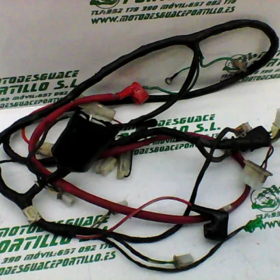 Foto de Instalación electrica Peugeot Tweet 50 4T referencia 32-19-17398