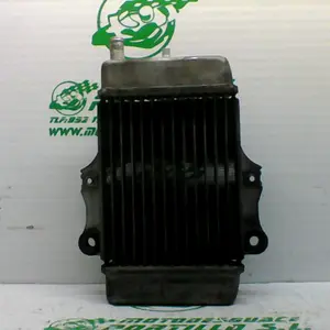 Foto de Radiador Honda Dylan 125 referencia 21-18-11534 foto 9