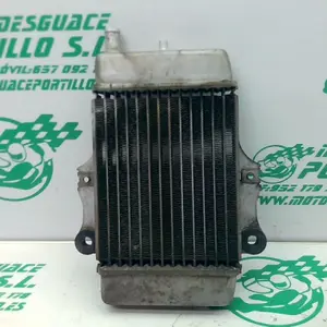 Foto de Radiador Honda Dylan 125 referencia 21-18-11534 foto 2