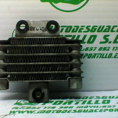 Foto de Radiador Daelim S2 125 referencia 68-21-29670