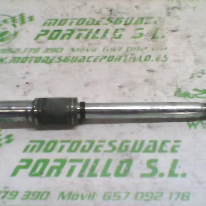 Foto de Eje de rueda delantera Derbi RAMBLA 300 referencia 167-22-37667